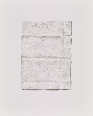 THE MATERIAL (BACK)